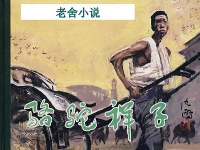 猫咪视频永久在线观看